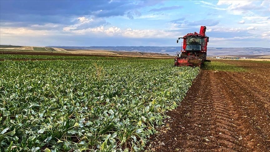Kırşehir’de Yağışlar Üreticinin Yüzünü Güldürdü