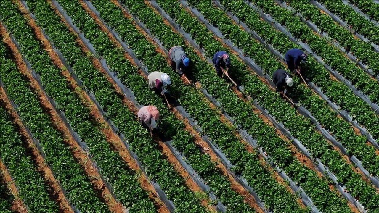 Kırşehir’de Tarım ve Hayvancılığa Milyonluk Destek Fırsatı