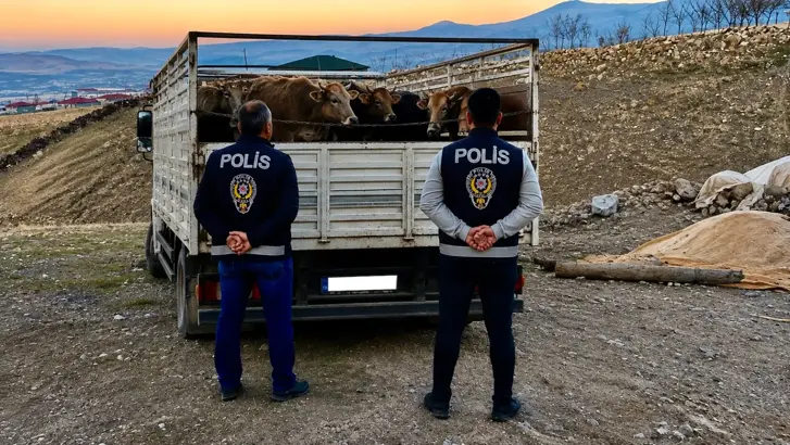 Kırşehir’de Tel Örgüyü Kesip 10 Büyükbaş Çaldılar: Şüphelilerden Biri Tutuklandı